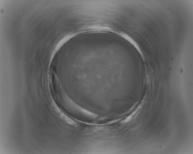 X0000074231381200609081610