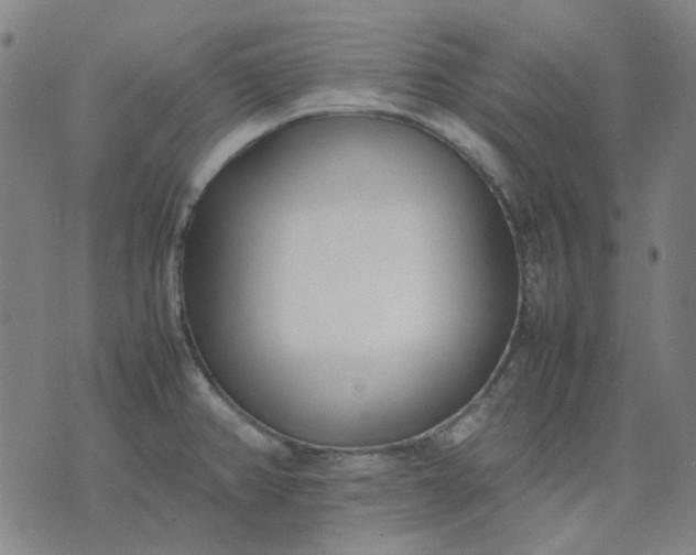 X0000074231382200609081610