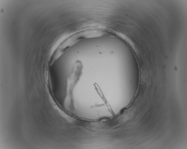 X0000074231383200609081610