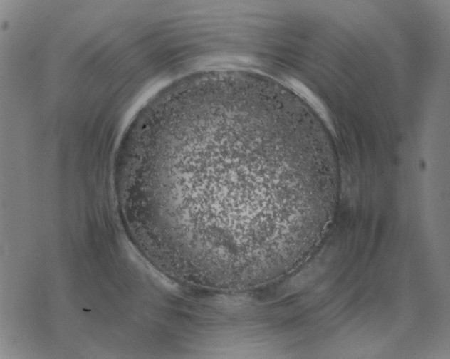 X0000074231384200609081610