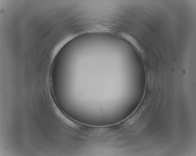 X0000074231387200609081610