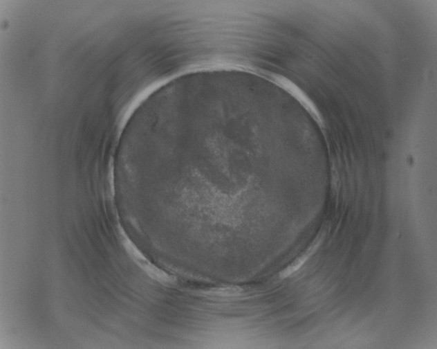 X0000074231388200609081610