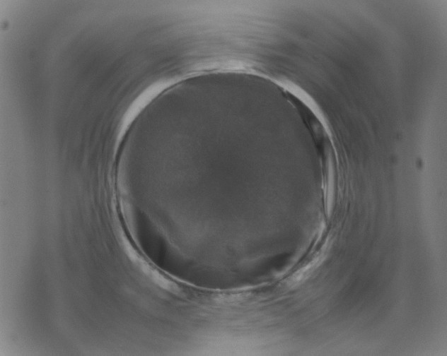 X0000074231389200609081610