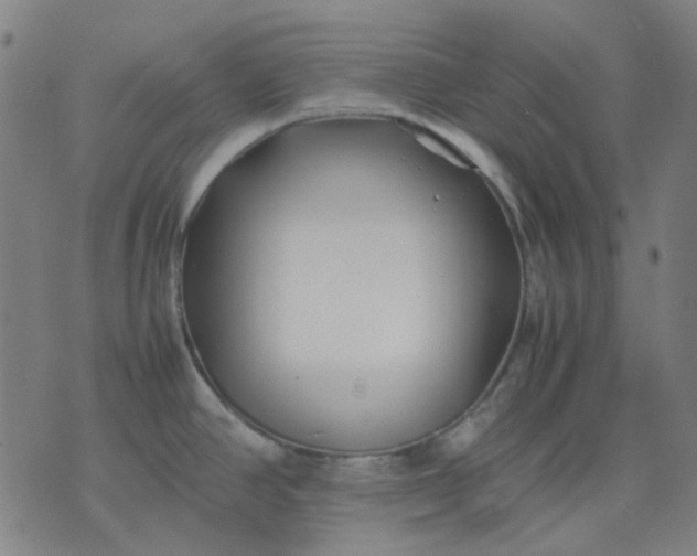 X0000074231390200609081610