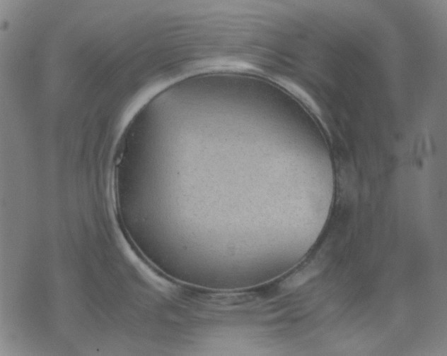 X0000074231391200609081610