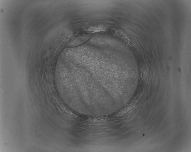 X0000074231393200609081609