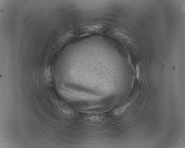 X0000074231395200609081609