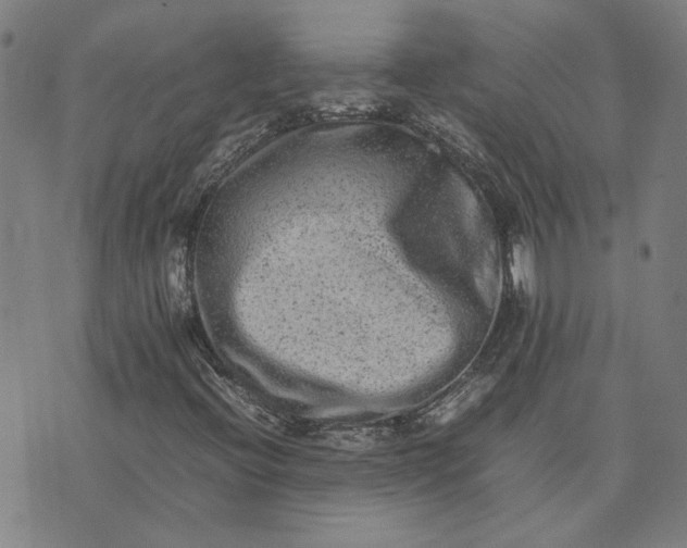 X0000074231396200609081609