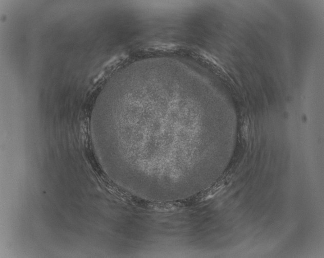 X0000074231397200609081609