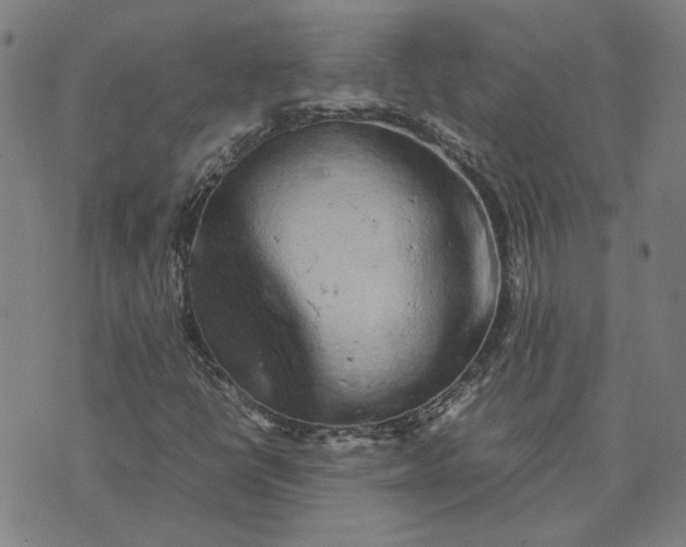 X0000074231398200609081609