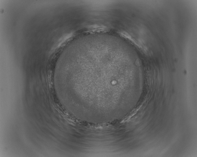 X0000074231399200609081609