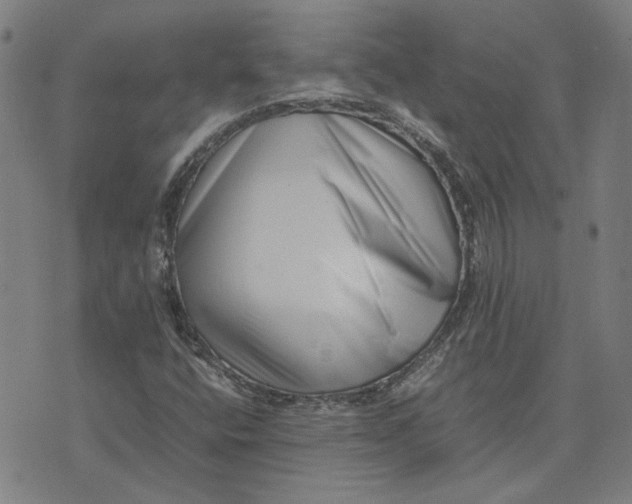 X0000074231400200609081609