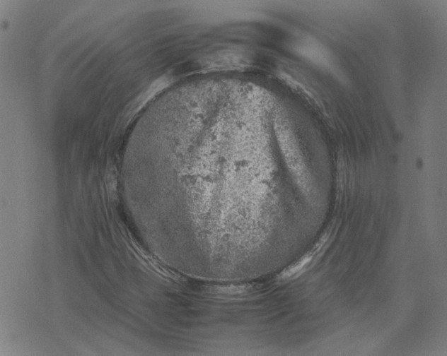 X0000074231401200609081609