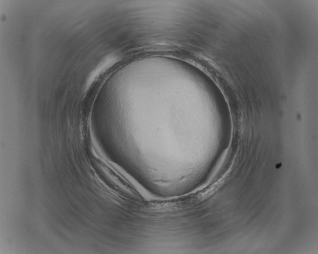 X0000074231402200609081609