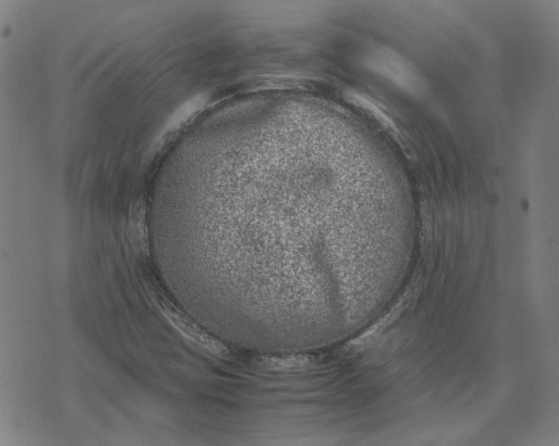 X0000074231403200609081609