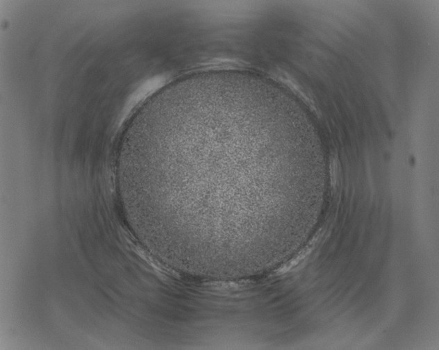 X0000074231405200609081609