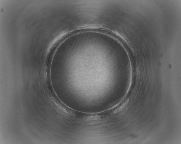 X0000074231406200609081609