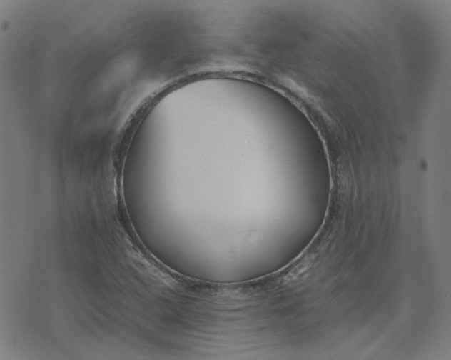 X0000074231408200609081609