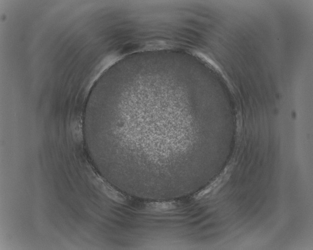 X0000074231409200609081609