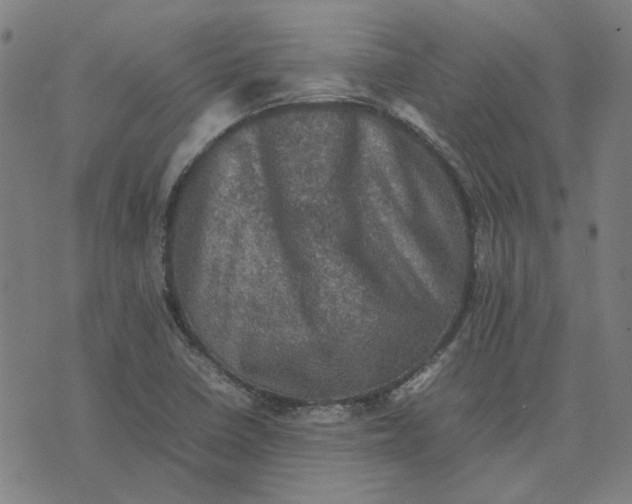 X0000074231410200609081609