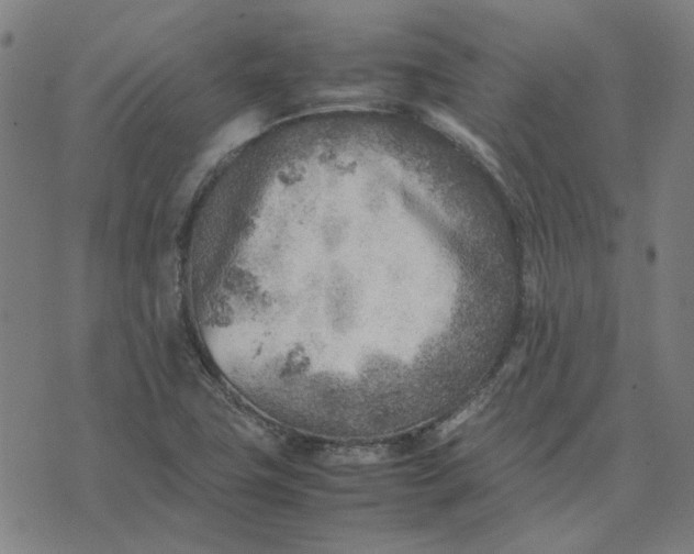 X0000074231411200609081609