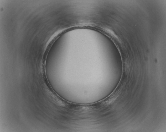 X0000074231412200609081609