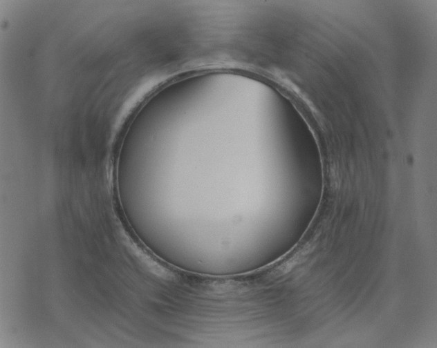 X0000074231416200609081609