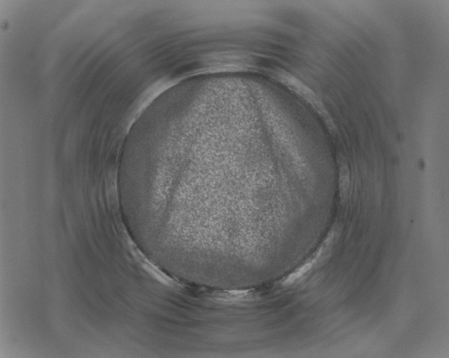 X0000074231417200609081609