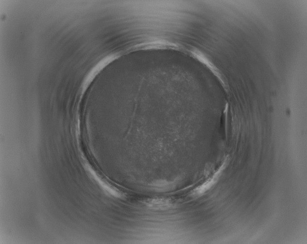 X0000074231418200609081609