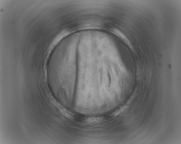 X0000074231419200609081609