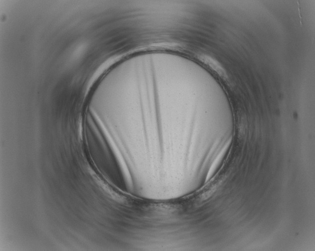 X0000074231420200609081609