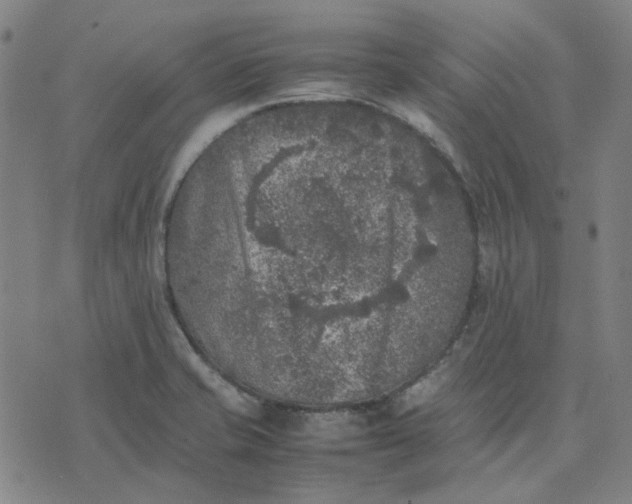 X0000074231421200609081609