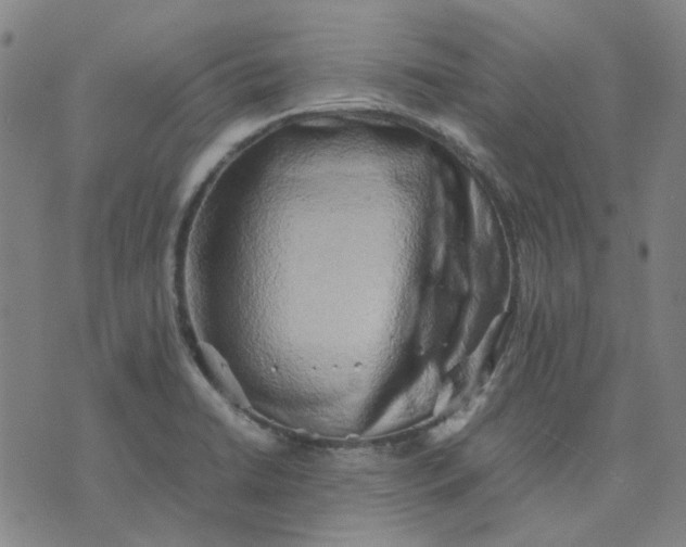 X0000074231422200609081609