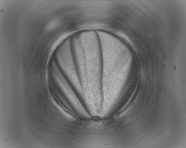 X0000074231424200609081610