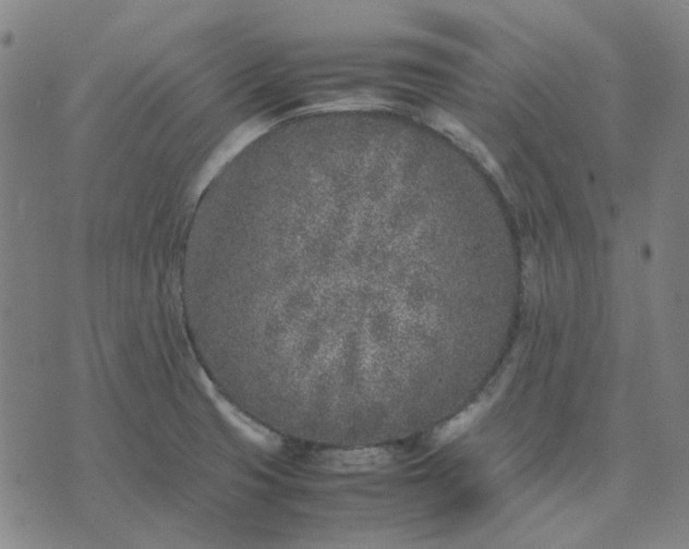 X0000074231425200609081610