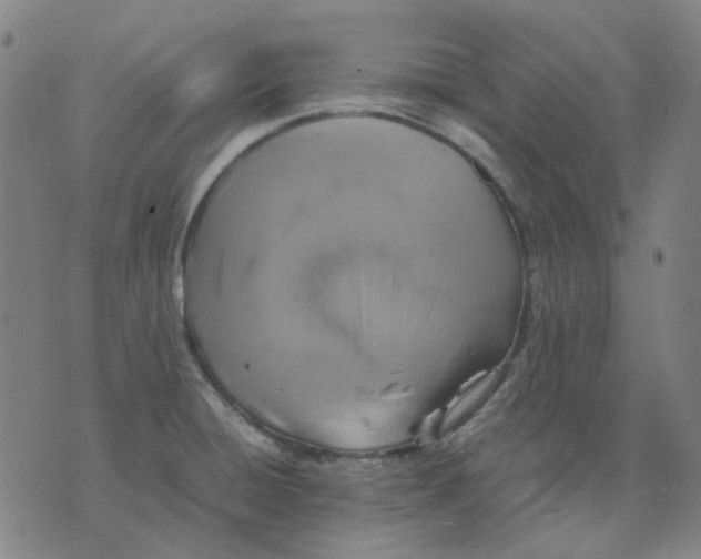 X0000074231428200609081610