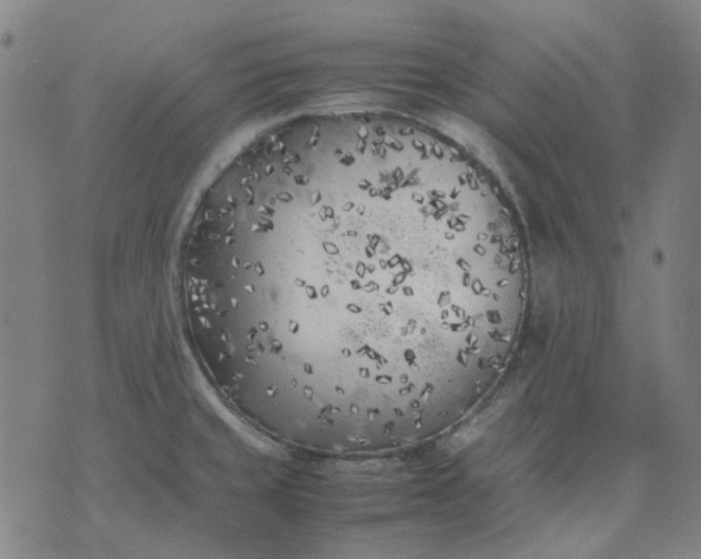 X0000074231429200609081610