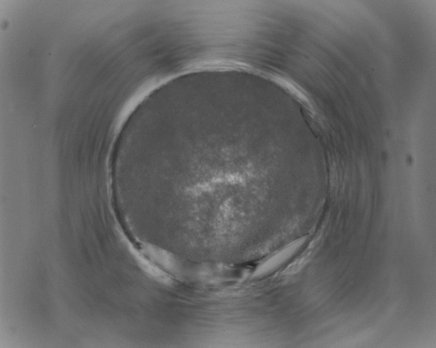 X0000074231430200609081610