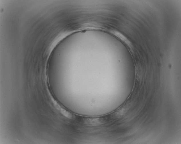 X0000074231431200609081610