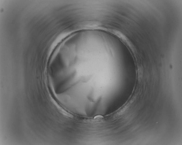 X0000074231432200609081610