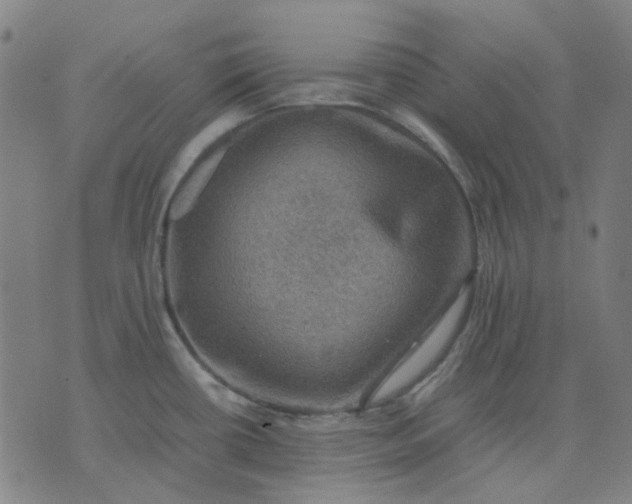 X0000074231434200609081610