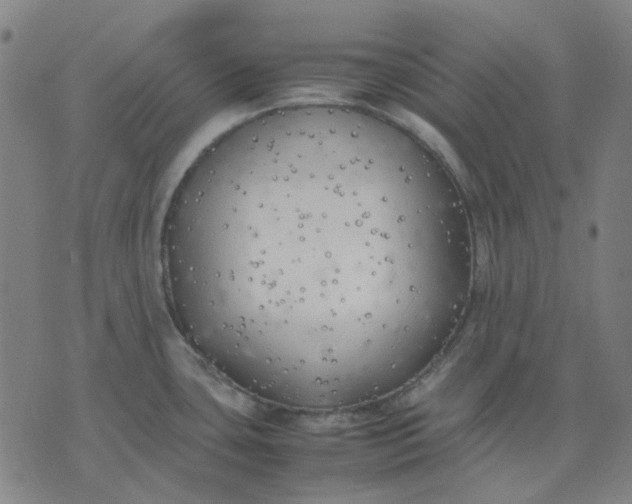 X0000074231435200609081610