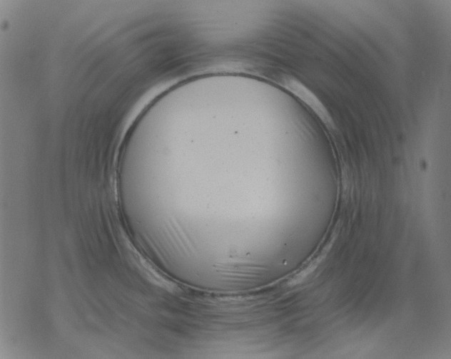 X0000074231436200609081610