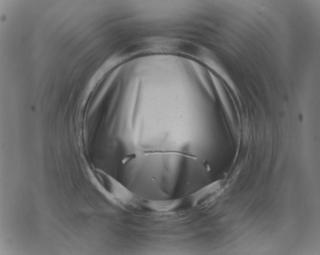 X0000074231437200609081610