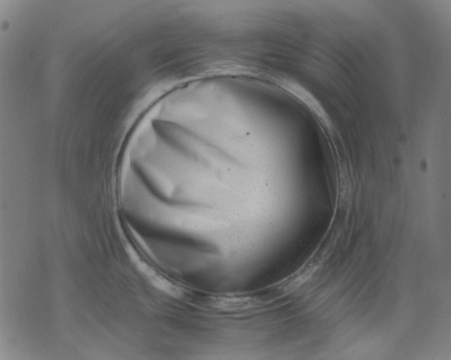 X0000074231439200609081610