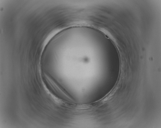 X0000074231440200609081610