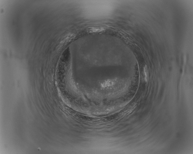 X0000074231441200609081609