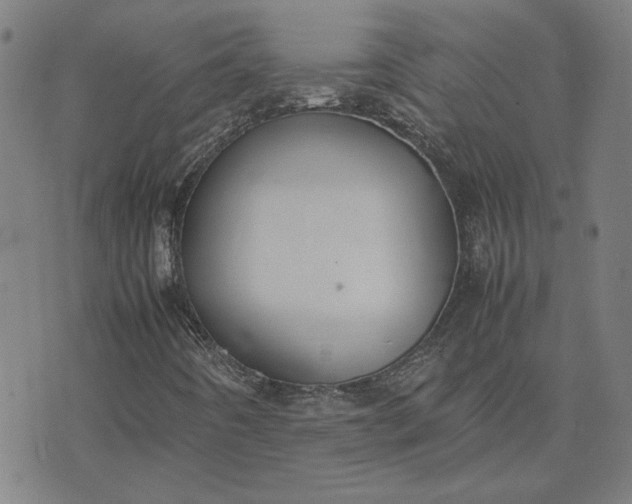 X0000074231442200609081609