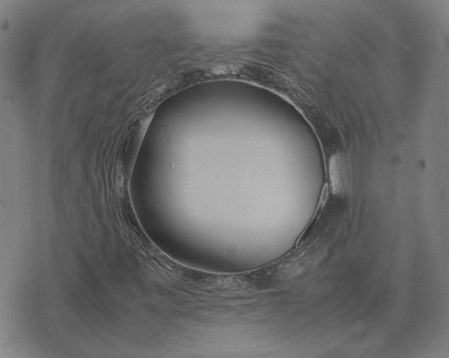 X0000074231443200609081609