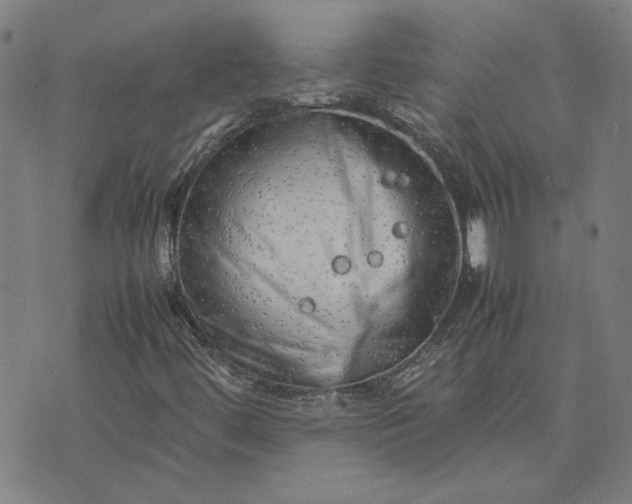 X0000074231444200609081609